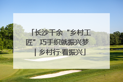 长沙千余“乡村工匠”巧手织就振兴梦｜乡村行·看振兴