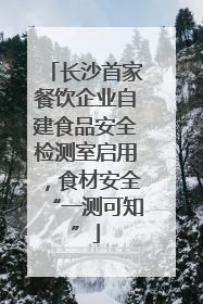 长沙首家餐饮企业自建食品安全检测室启用，食材安全“一测可知”