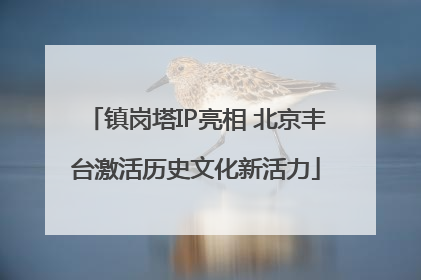 镇岗塔IP亮相 北京丰台激活历史文化新活力