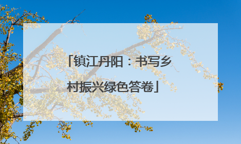 镇江丹阳：书写乡村振兴绿色答卷