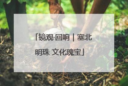 镜观·回响｜塞北明珠 文化瑰宝
