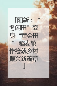 阳新：“冬闲田”变身“黄金田” 稻麦轮作绘就乡村振兴新篇章