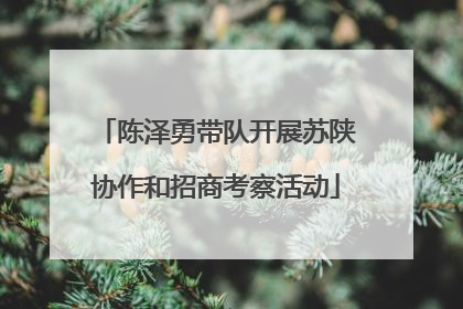 陈泽勇带队开展苏陕协作和招商考察活动