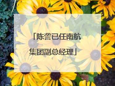 陈詟已任南航集团副总经理