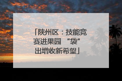陕州区：技能竞赛进果园 “袋”出增收新希望