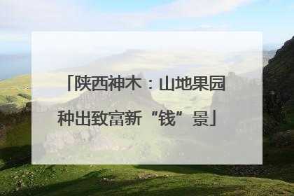 陕西神木：山地果园种出致富新“钱”景