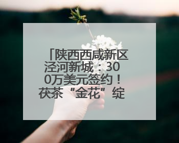 陕西西咸新区泾河新城：300万美元签约！茯茶“金花”绽放中亚