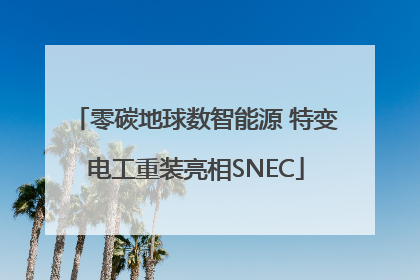 零碳地球数智能源 特变电工重装亮相SNEC