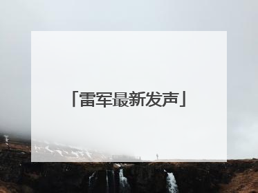 雷军最新发声