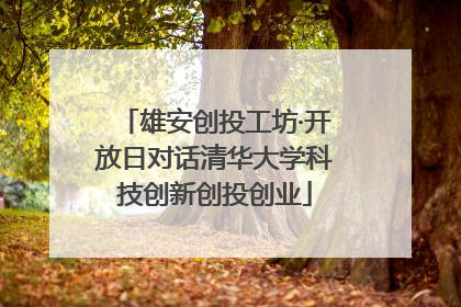 雄安创投工坊·开放日对话清华大学科技创新创投创业