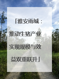 雅安雨城：推动生猪产业实现规模与效益双重跃升