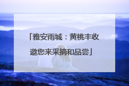 雅安雨城：黄桃丰收 邀您来采摘和品尝