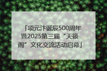 项元汴诞辰500周年暨2025第三届“天籁阁”文化交流活动启幕
