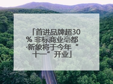 首进品牌超30% 非标商业亳都·新象将于今年“十一”开业
