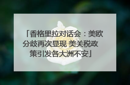 香格里拉对话会：美欧分歧再次显现 美关税政策引发各大洲不安