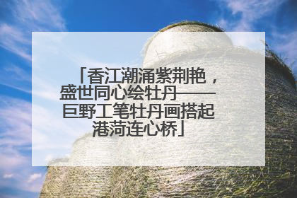 香江潮涌紫荆艳，盛世同心绘牡丹——巨野工笔牡丹画搭起港菏连心桥