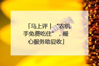 马上评丨“农机手免费吃住”，暖心服务助夏收