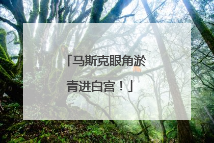 马斯克眼角淤青进白宫！