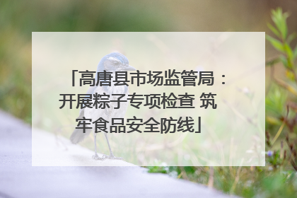 高唐县市场监管局：开展粽子专项检查 筑牢食品安全防线