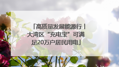 高质量发展能源行丨大湾区“充电宝”可满足20万户居民用电
