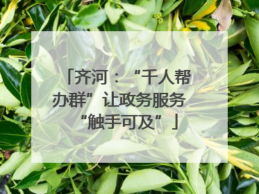 齐河：“千人帮办群”让政务服务“触手可及”