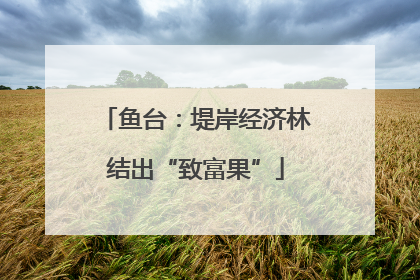 鱼台：堤岸经济林结出“致富果”