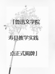 鲁迅文学院寿县教学实践点正式揭牌