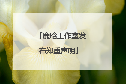 鹿晗工作室发布郑重声明