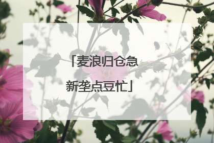 麦浪归仓急 新垄点豆忙