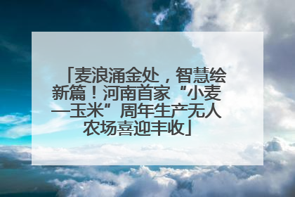 麦浪涌金处，智慧绘新篇！河南首家“小麦—玉米”周年生产无人农场喜迎丰收