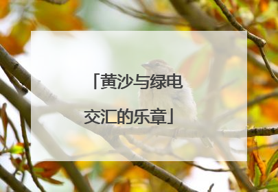 黄沙与绿电交汇的乐章