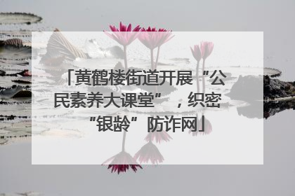 黄鹤楼街道开展“公民素养大课堂”，织密“银龄”防诈网