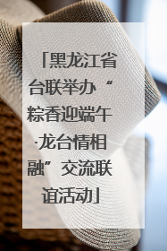 黑龙江省台联举办“粽香迎端午·龙台情相融”交流联谊活动