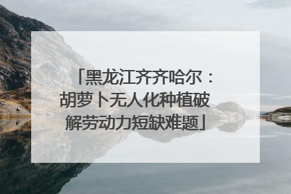 黑龙江齐齐哈尔：胡萝卜无人化种植破解劳动力短缺难题