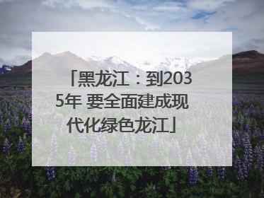 黑龙江：到2035年 要全面建成现代化绿色龙江
