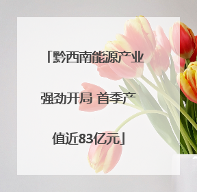 黔西南能源产业强劲开局 首季产值近83亿元