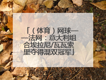 （体育）网球——法网：意大利组合埃拉尼/瓦瓦索里夺得混双冠军