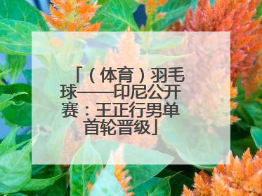 （体育）羽毛球——印尼公开赛：王正行男单首轮晋级