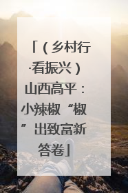 （乡村行·看振兴）山西高平：小辣椒“椒”出致富新答卷