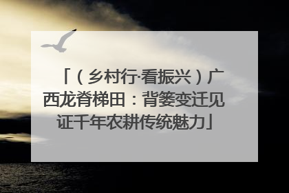 （乡村行·看振兴）广西龙脊梯田：背篓变迁见证千年农耕传统魅力