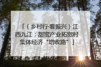 （乡村行·看振兴）江西九江：甜蜜产业拓宽村集体经济“增收路”