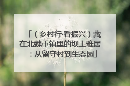 （乡村行·看振兴）藏在北魏重镇里的坝上雅居：从留守村到生态园
