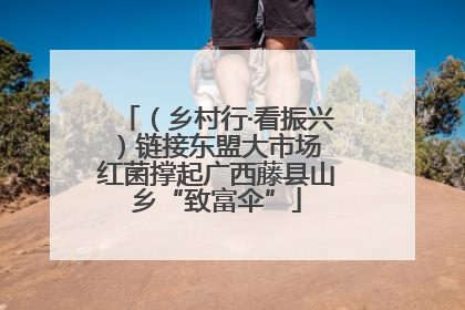 （乡村行·看振兴）链接东盟大市场 红菌撑起广西藤县山乡“致富伞”