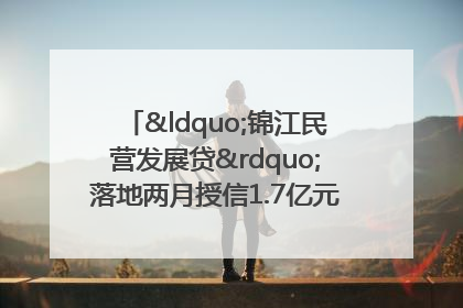 “锦江民营发展贷”落地两月授信1.7亿元，惠及118家民企