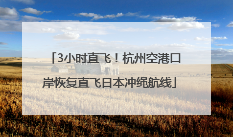 3小时直飞！杭州空港口岸恢复直飞日本冲绳航线