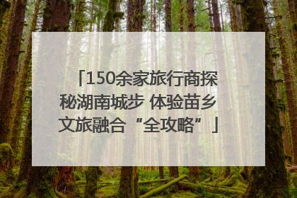 150余家旅行商探秘湖南城步 体验苗乡文旅融合“全攻略”