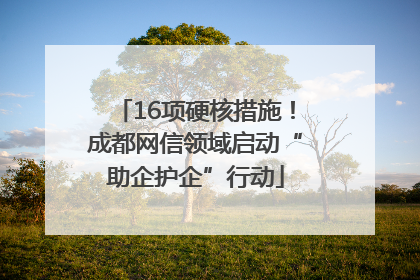 16项硬核措施！成都网信领域启动“助企护企”行动