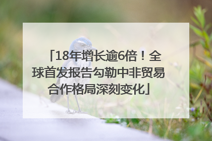 18年增长逾6倍！全球首发报告勾勒中非贸易合作格局深刻变化