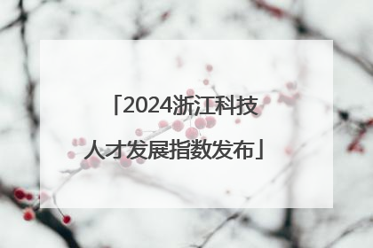 2024浙江科技人才发展指数发布