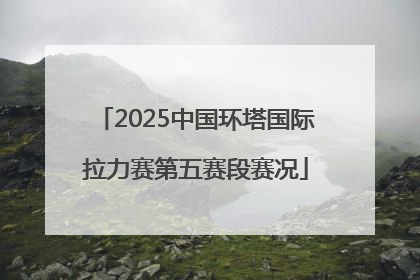 2025中国环塔国际拉力赛第五赛段赛况